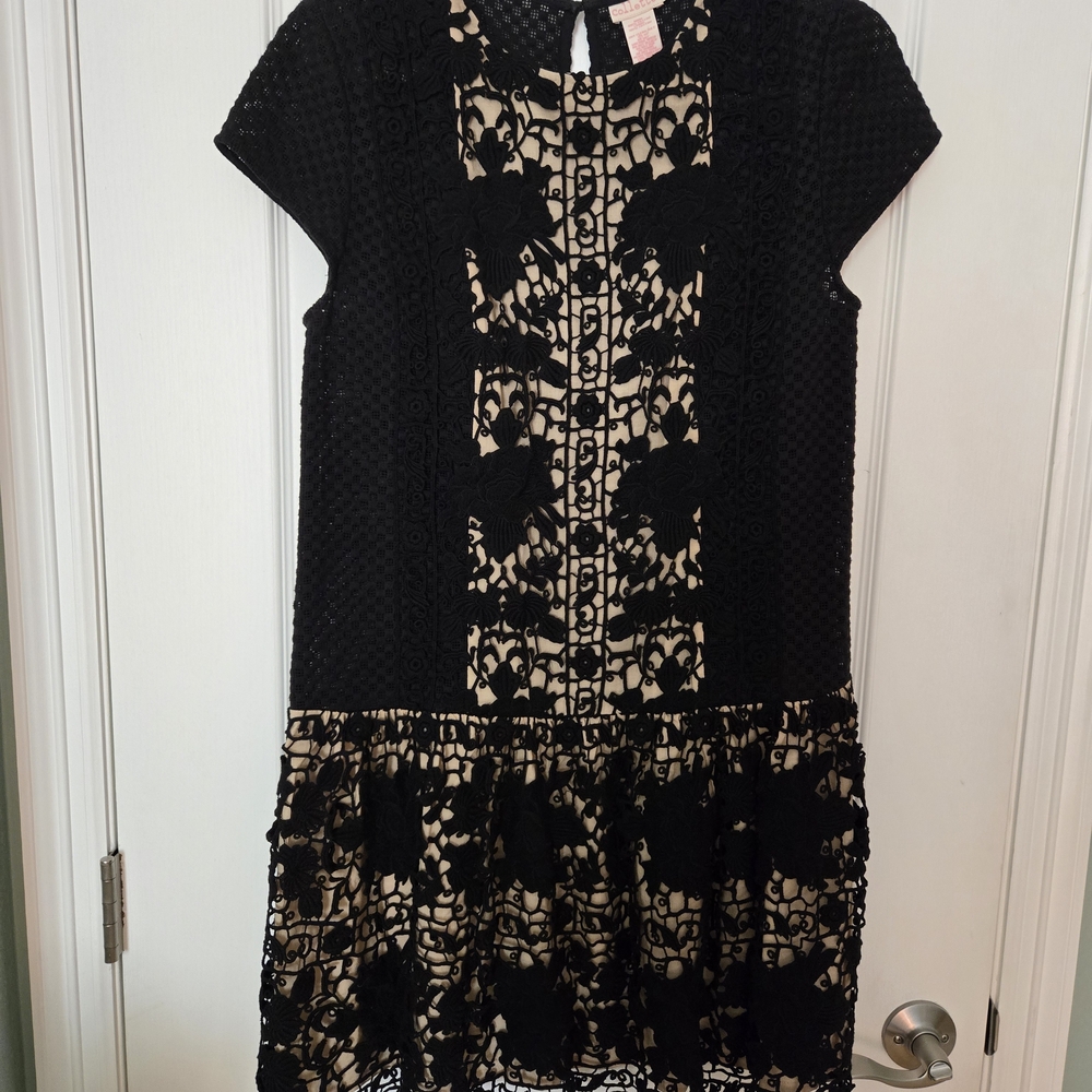 Chic Black and Cream Lace Dress